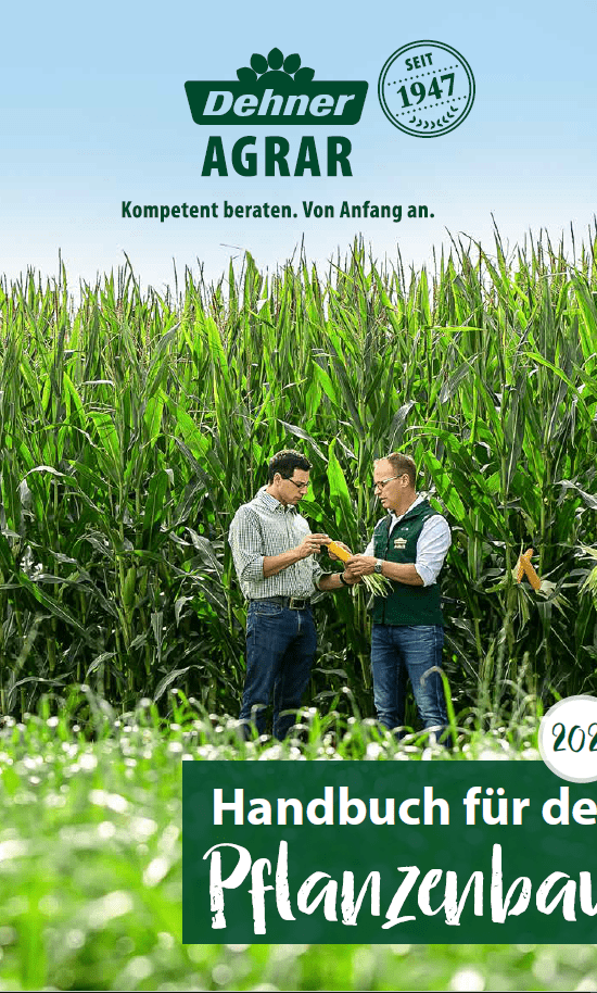Cover Handbuch 2021