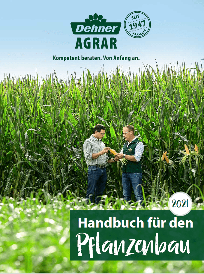 Cover Handbuch 2021