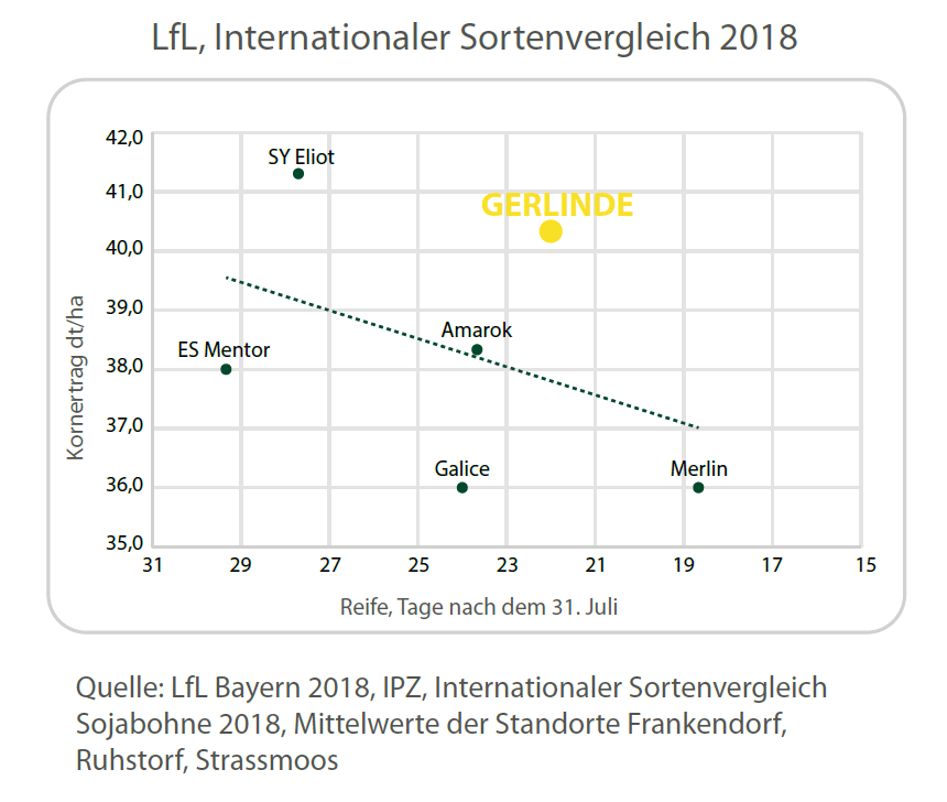 Grafik Gerlinde