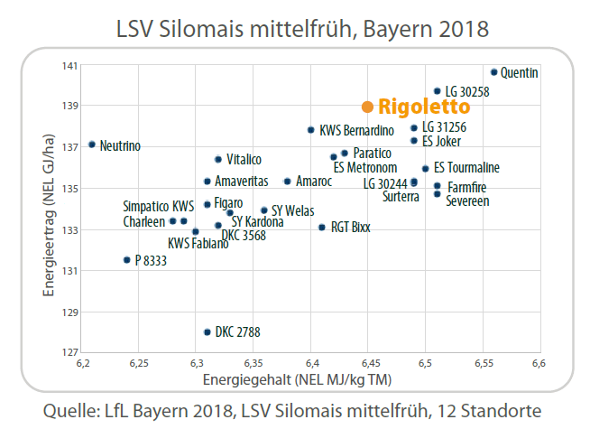 Grafik Rigoletto