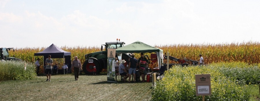 csm_Maisschau_2016_15_f836fdf7ef