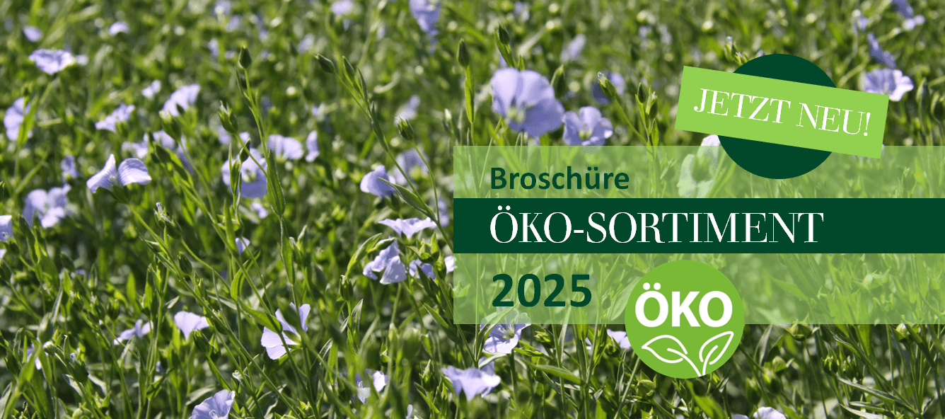 Teaser Ökobroschüre