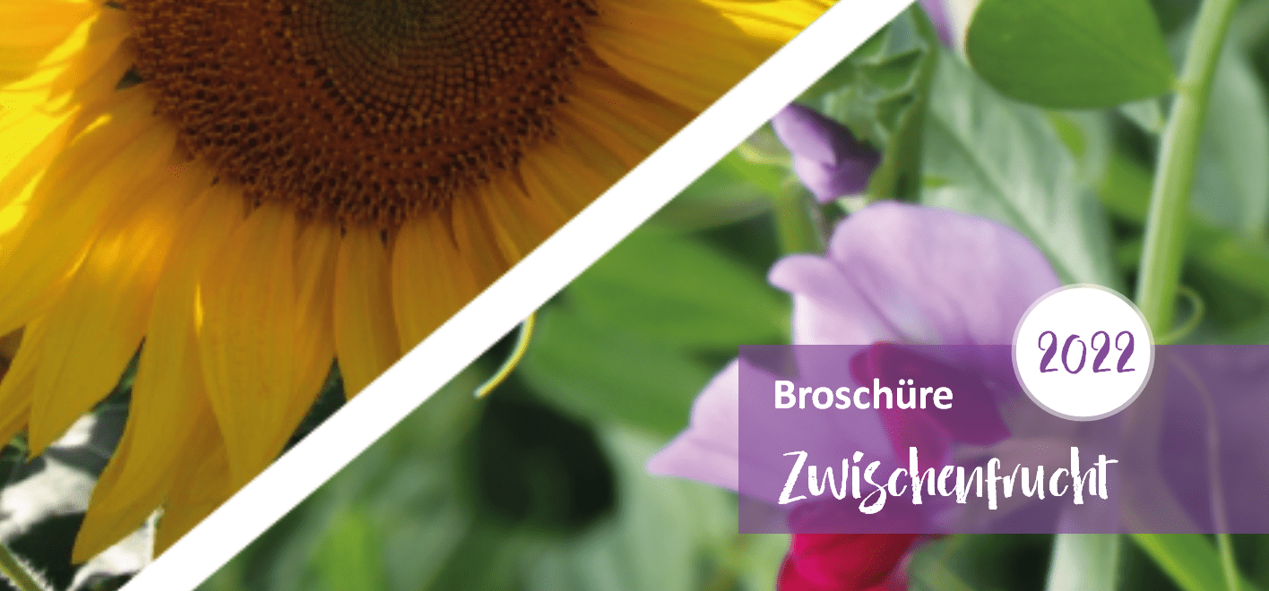 Zwischenfrucht 2022