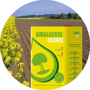 AMALGEROL ESSENCE Ausschnitt