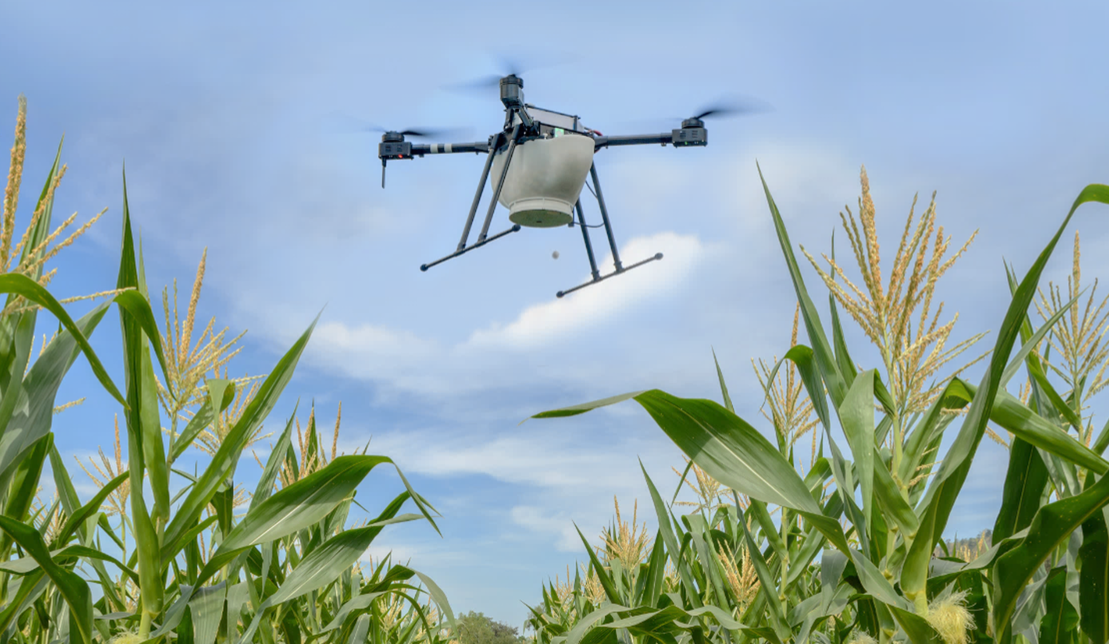 Screenshot 2026-02-12 081224