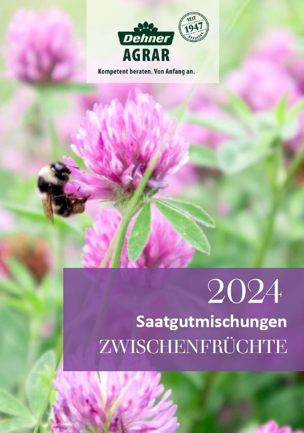 Zwischenfruchtbroschüre digital