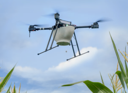 Trichogramma Website